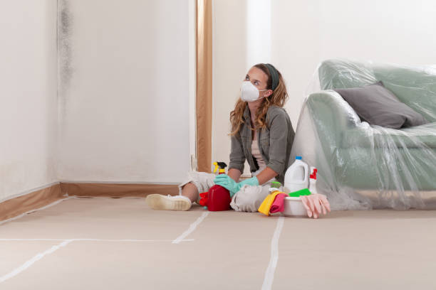 Reliable Commercial Mold Remediation contractor in Johnstown, CO by WQB Mold Removal